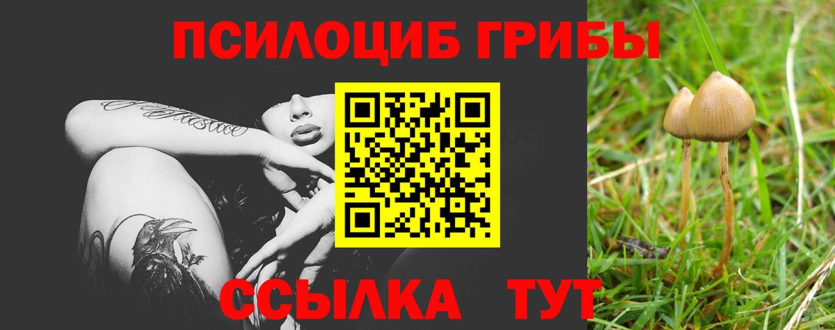 Псилоцибиновые грибы мухоморы  Псилоцибиновые грибы Psilocybine cubensis  Вход с VPN  Верхний Уфалей 